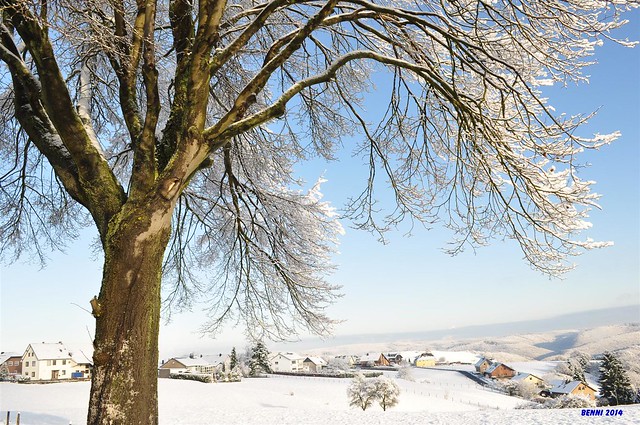 00113 Morsbach in der Eifel  winter 2014
