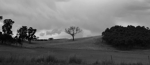 xmas landscape dusk australia victoria bushhome