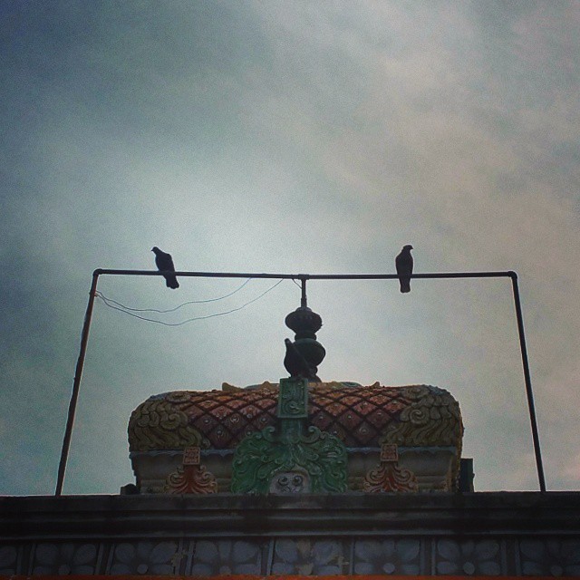 #Brahmapureeshwar #temple #Teynambakkam #Kanchipuram #gopuram #pigeons #sillhouette #travel