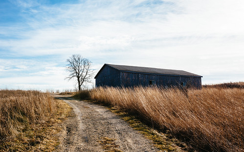 nature rural trail landscape wisconsin horiconmarsh midwest tree barn road outdoors canoneos5dmarkiii sigma35mmf14dghsmart