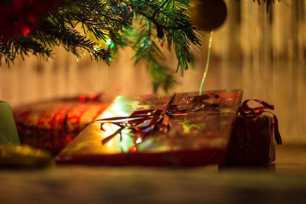 Just a few things under the tree | Pavlina Jane | Flickr