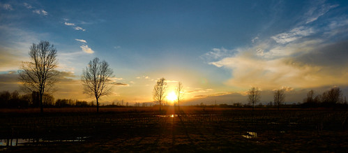 sunset stakeout by Lee Woodcraft, Boreham
Essex
sunset sky sun nikon boreham d7000