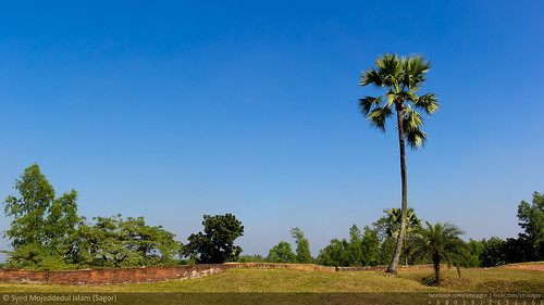 nature canon landscape eos islam north simplicity dhaka syed bangladesh bengle sagor 60d mojaddedul smisagor
