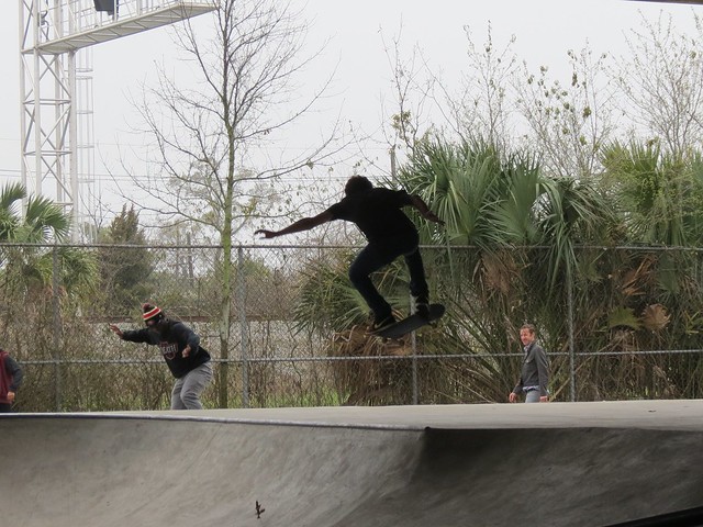 Parisite Skate Park