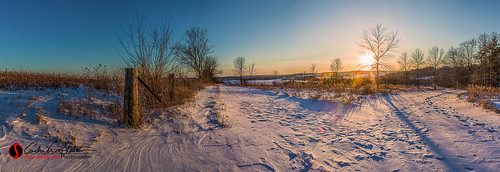 trees sunset snow ice nature wisconsin forest canon fence landscape frozen place unitedstates panoramic trail freeze waukesha landscapephotography retzernaturecenter discoverwisconsin travelwisconsin 5dmarkiii andrewslaterphotography