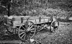 Old Wagon at Historic Yates Mill
