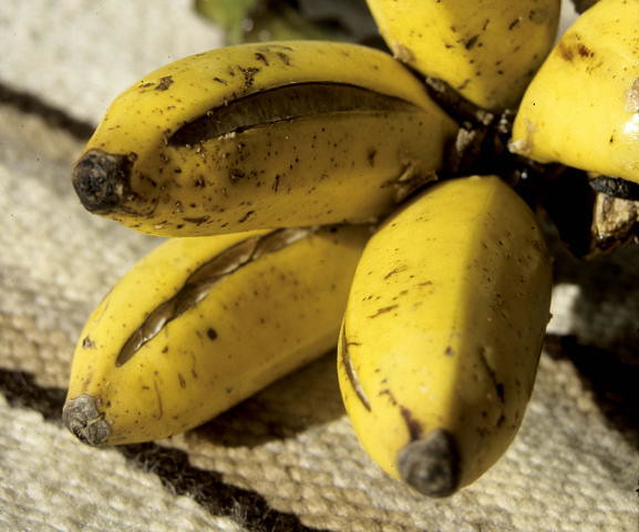 Banana: Split fingers