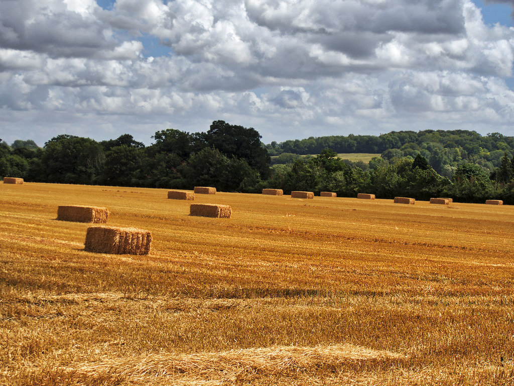 straw bales near Winchester