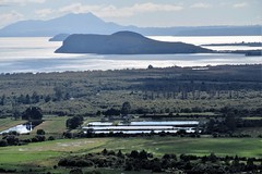 North Island, NZ - Lake Taupo from Te Ponanga Saddle Road