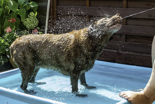 Abkühlung 3 / cooling down 3 | by antowo1