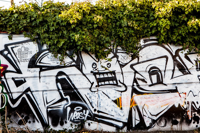 Chia Graffiti