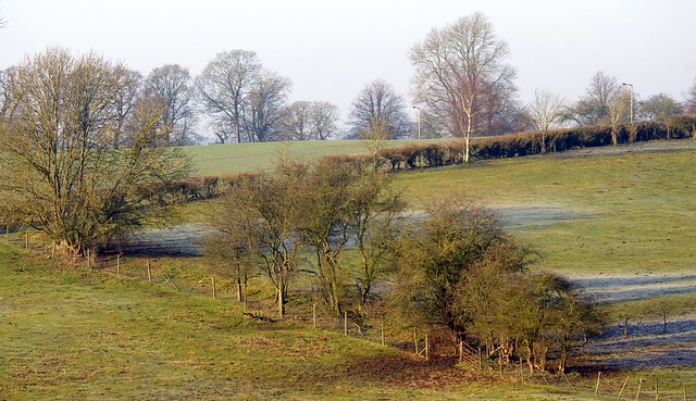 Northamptonshire Landscape