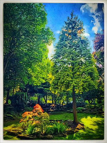 iphoneography iphone365 iphone phototoaster snapseed procamera landscape flowers trees tree rockery warmemorialpark coventry memorialpark painterly serene outdoor photoborder brushstroke