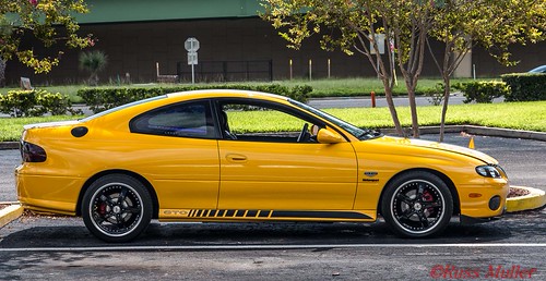 GTO | by UCFGRAD1999