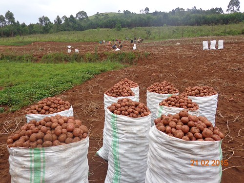 Improving production and productivity2 | by caritaskabale