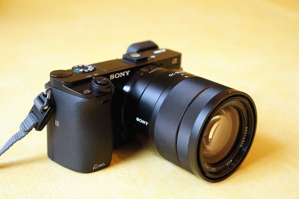 Sony A6000 + Vario-Tessar T* E 16-70mm F4 ZA OSS (SEL1670Z… | Flickr