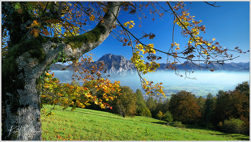 autumn lake mountains alps fall austria österreich herbst alpen oberösterreich gebirge upperaustria gmunden traunsee altmünster salzakmmergut