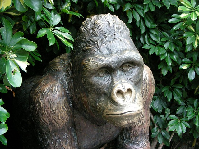 Tenerife Gorillas 003: Statue