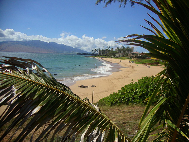 Kama'ole Beach Three: Kihea Maui