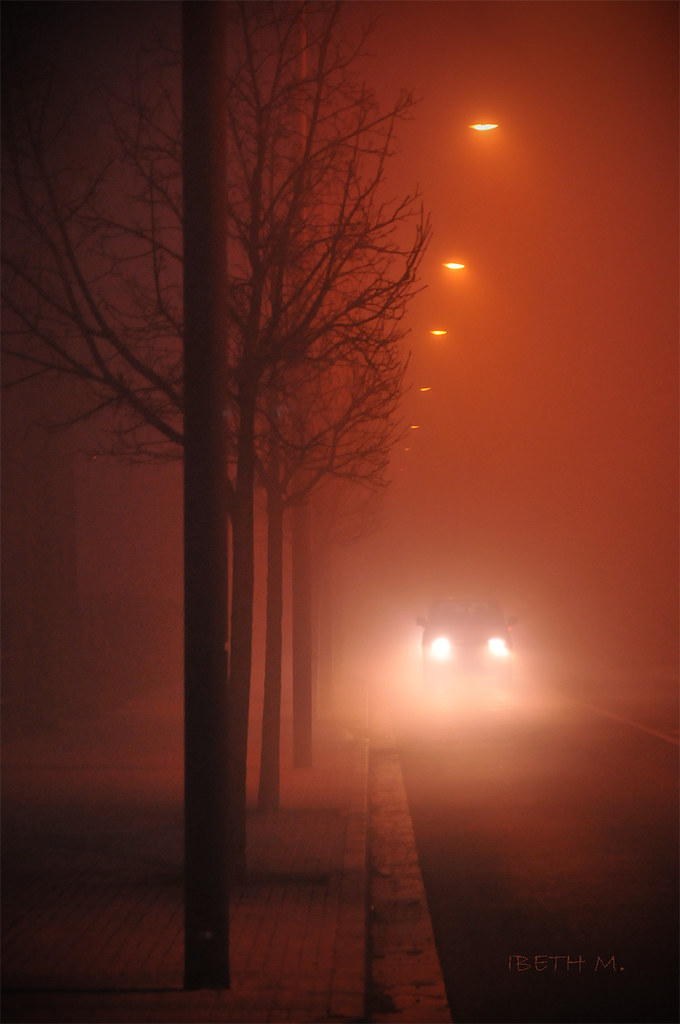 Silenci entre la boira. Silencio en la niebla. Silence in the fog