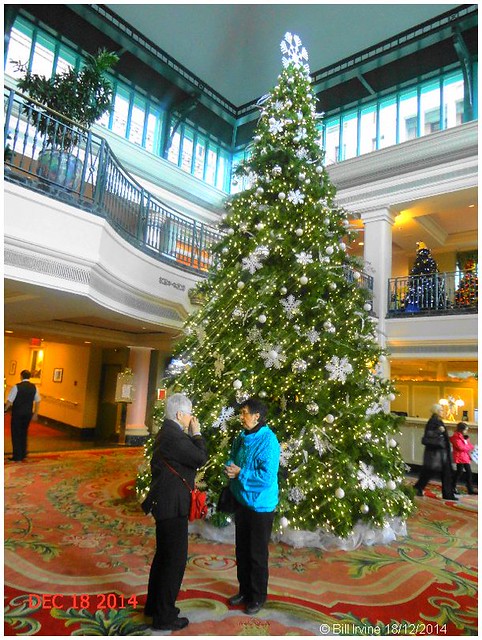 Fairmont/Empress Hotel Foyer Christmas 2014