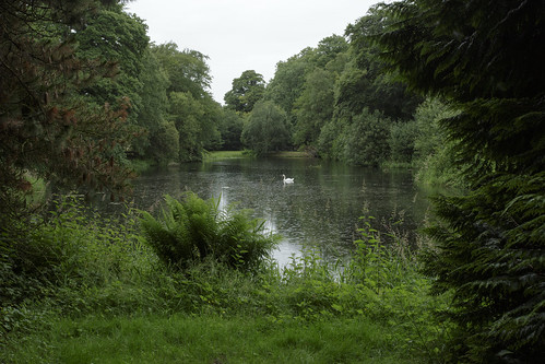 garden hillsboroughcastle codown swan lake green