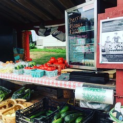 Best #farmstand at #champdalefarm in #bradfordcounty (or maybe #wyomingcounty -it's on the line). Their #freshcorn is hands down, THE best. I can wait to bite that #tomato! #nepa #cornonthecob #tomatoes #discoverpa #naturalpennsylvania #visitpa
