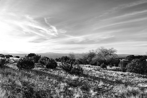 newmexico southwest landscape desert albuquerque nm mttaylor elenagallegos grantcondit