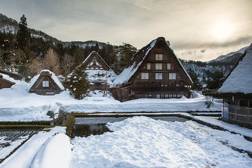 2015 500px bg gifu japan light lightup middle nagano night nightscene nippon photobybg photography shirakawa shirakawago snow takayama thumblr tumblr winter bellphoto 世界遺產 中部 冬 冬季 合掌屋 合掌造 夜 夜景 岐阜 日本 白川鄉 長野 雪 雪景 高山 點燈