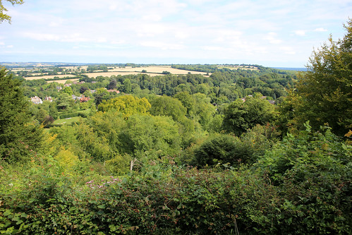 View from Selborne Common 
