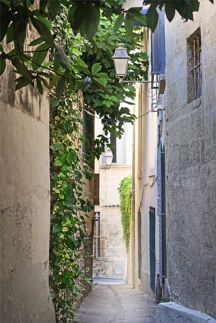 La rue du Figuier (Montpellier)