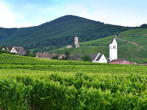 vignoble vin katzenthal alsace clocher château wineck vineyards belltower castle