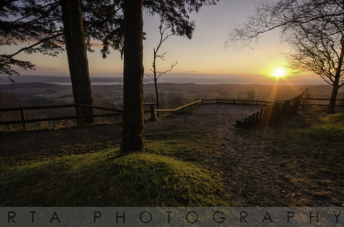 trees light sun sunrise dawn december mamhead eastdevon haldonforrest rtaphotography