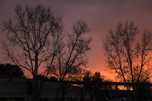 trees sunset red sky silhouette clouds warm glow fuji riverside vibrant handheld fujifilm southerncalifornia apsc xt1 mirrorless xshooter xmount xflens xtranssensor 18135oiswr