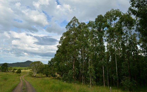 landscape australia nsw australianlandscape clarencevalley ruralaustralia northernrivers rurallandscape deepcreekvalley afternoonlandscape