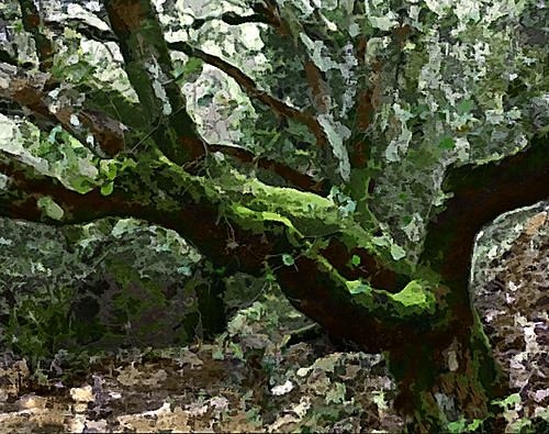 Art Huckleberry Trail | by Greg Harder
