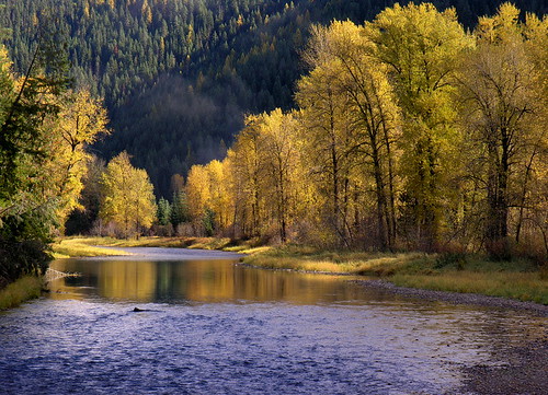 autumn mountains fall nature leaves river landscape scenic idaho shoshonecounty coeurdalenenf