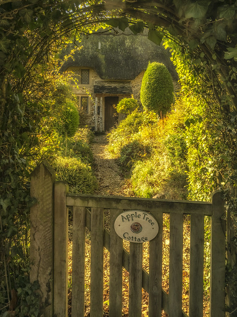 A cottage garden in Sandy Lane, Chippenham