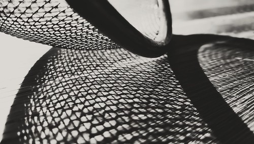 Macro Mondays: mesh | by Cookie ...