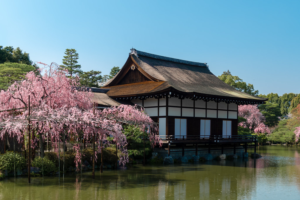 神苑 平安神宮の春 Heian Jingu Shrine In Spring I Want To Intro Flickr