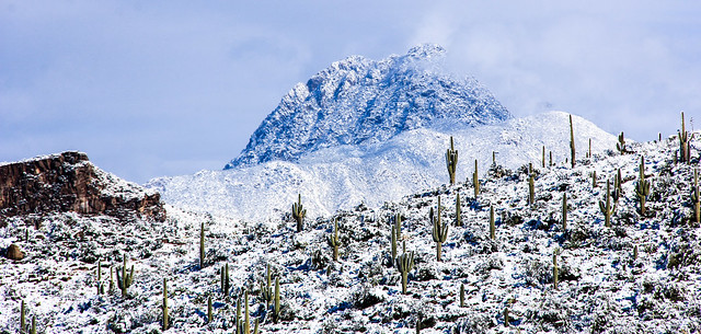 New Years Snow,  Apache Trail, Arizona