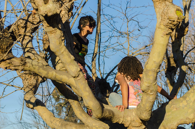 Two Women in a Tree...