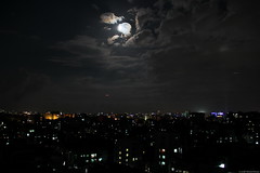 city moonlit night