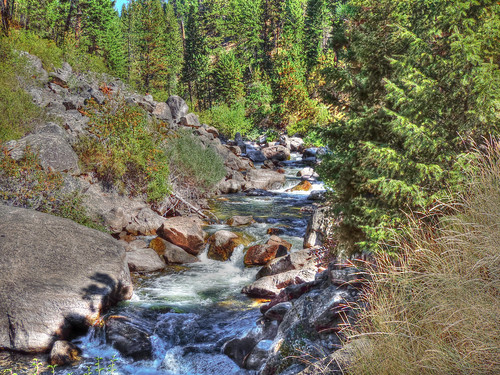 rivers forests payetteriver idahostate