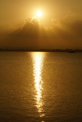 DSC07737 by Muditha Fernando, 