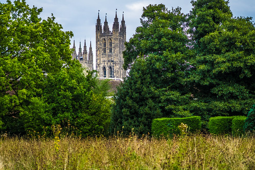 canterbury england places cathedral garden park greyfriars