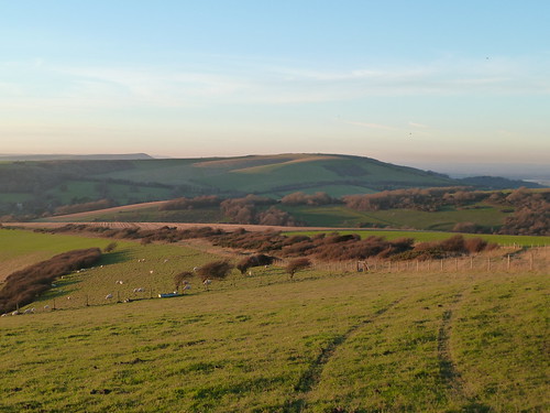South Downs Winter (Berwick to Birling Gap) Downs in winter afternoon light.