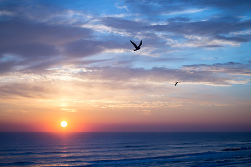 ocean morning blue orange sun clouds sunrise early nikon waves florida seagull atlantic rise daytona d610