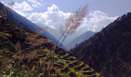 nepal mountains nature himalayas iphone langtang riceterrrace tamangheritage iphone4s