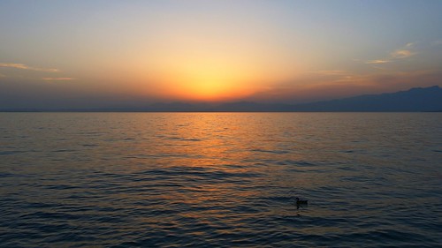 italien sunset italy sun lake water landscape see duck wasser tramonto sonnenuntergang ente landschaft sonne lakegarda lagodigarda gardasee